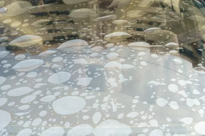 Damaged Auto Tint: Top Causes and Proven Solutions